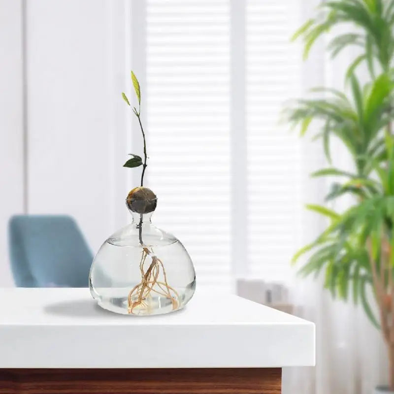 Avocado Seed Vase