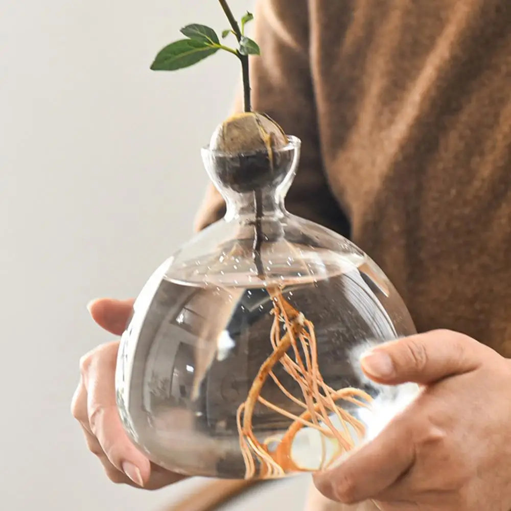 Avocado Seed Vase