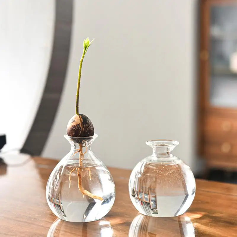 Avocado Seed Vase