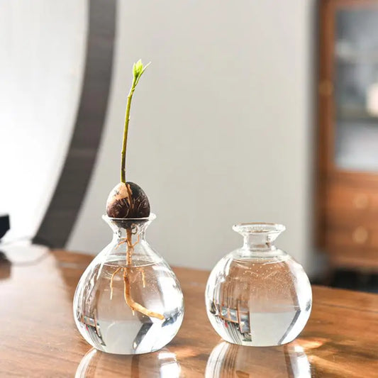 Avocado Seed Vase