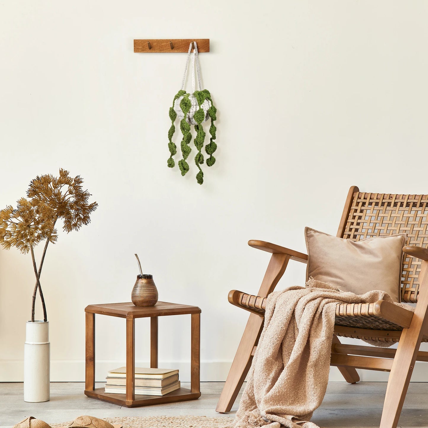 Crochet Hanging Plant Basket